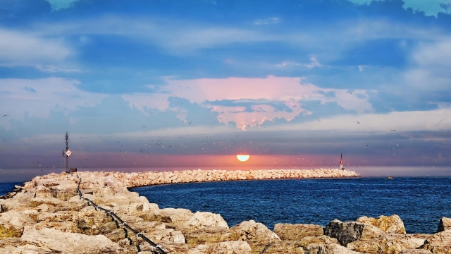 田径训练腿部器材有哪些